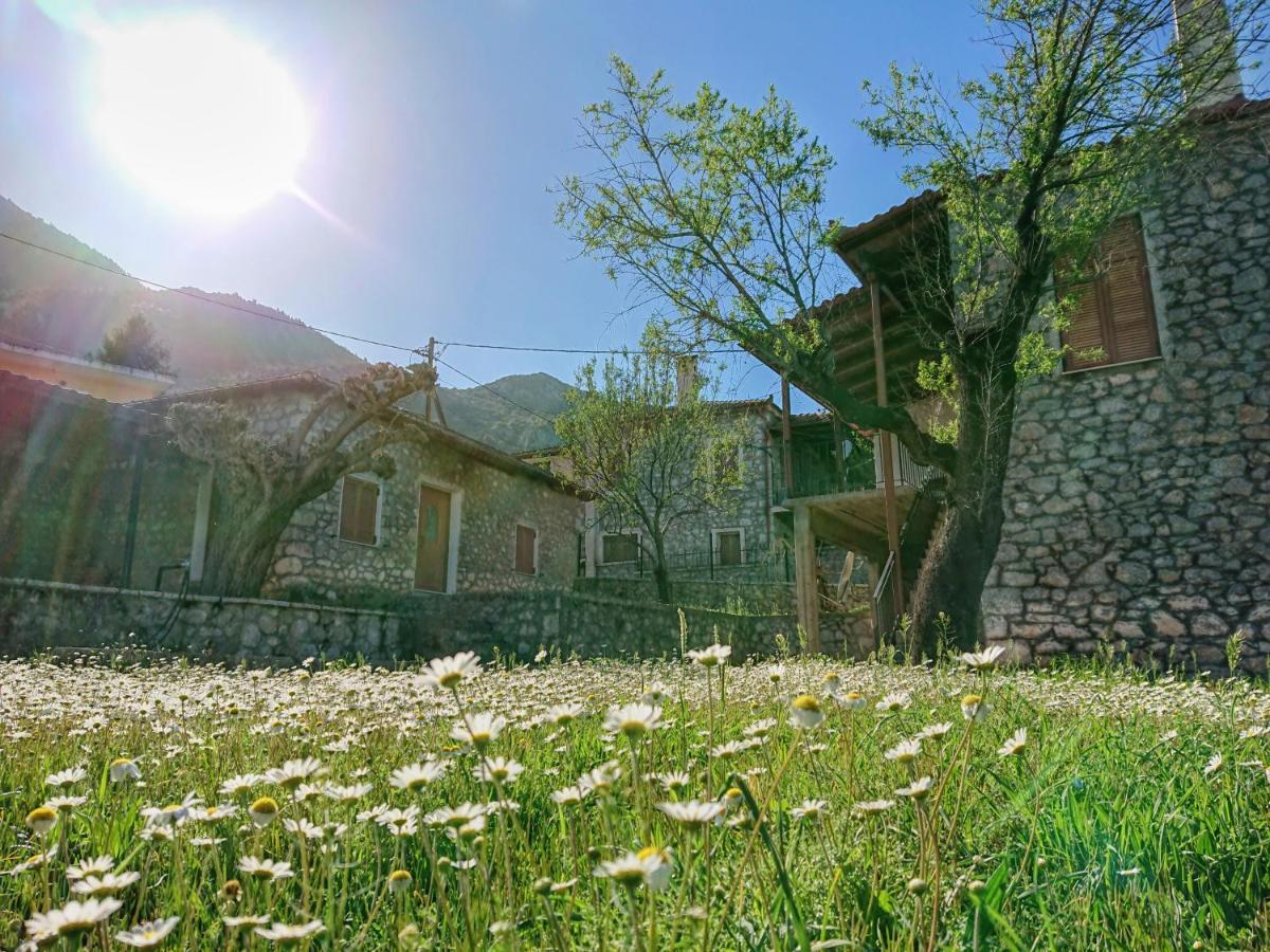 1935 Home Lilaia Екстер'єр фото